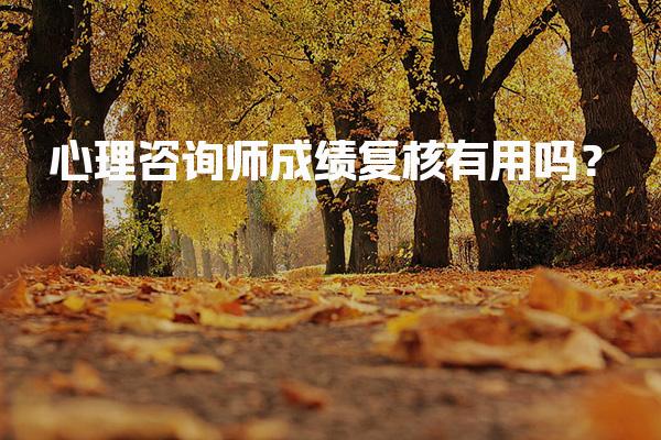 心理咨询师成绩复核有用吗？