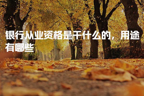 银行从业资格是干什么的 用途有哪些