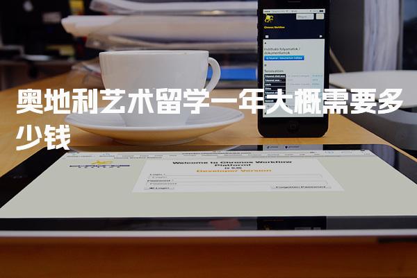 奥地利艺术留学一年大概需要多少钱