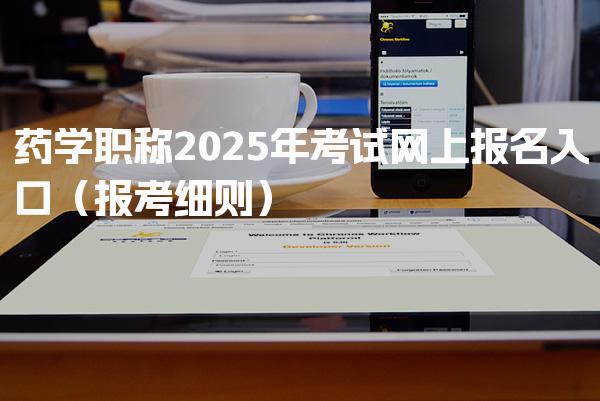 药学职称2025年考试网上报名入口（报考细则）