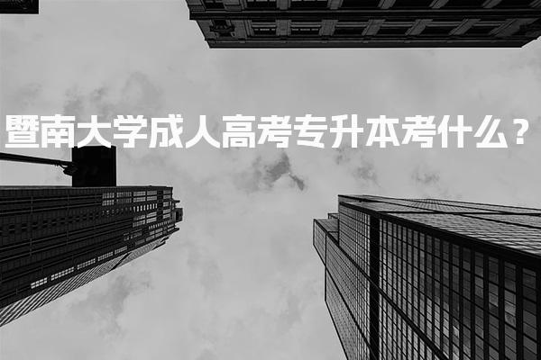 暨南大学成人高考专升本考什么？专业类别与对应科目
