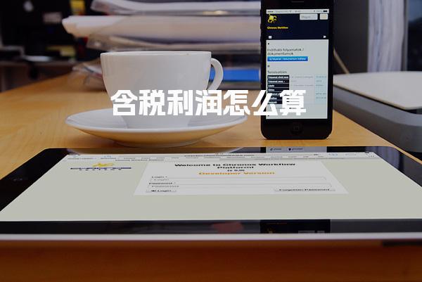 含税利润怎么算