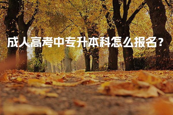 成人高考中专升本科怎么报名？