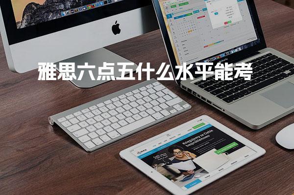 雅思六点五什么水平能考