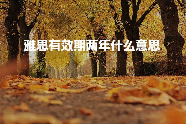 雅思有效期两年什么意思：深度解析与注意事项