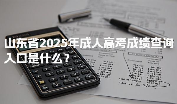2025年山东省成人高考成绩查询入口是什么？