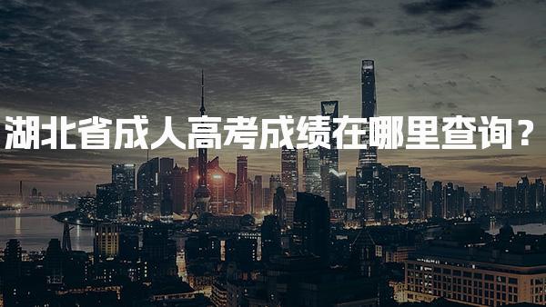 湖北省成人高考成绩在哪里查询？注意事项与后续流程