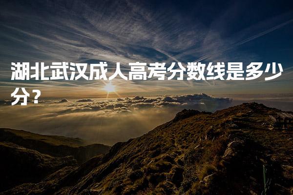 湖北武汉成人高考分数线是多少分？