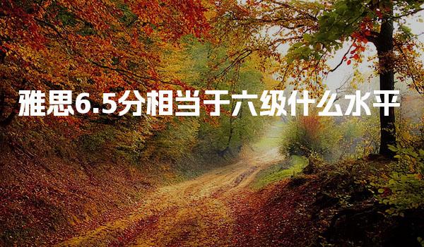 雅思6.5分相当于六级什么水平