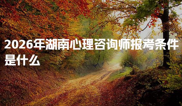 2026年湖南心理咨询师报考条件是什么