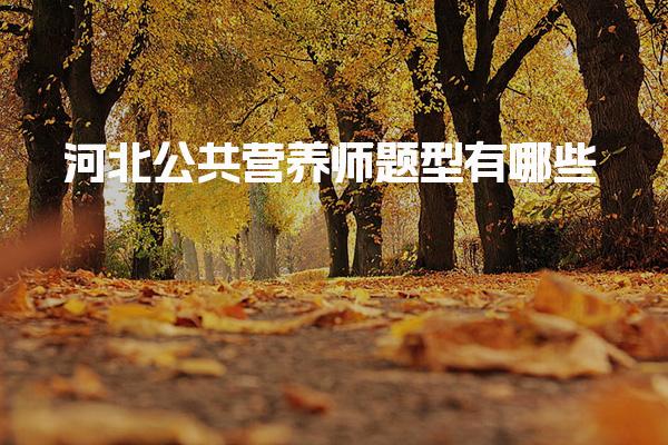 2026年河北公共营养师题型有哪些 备考技巧与策略