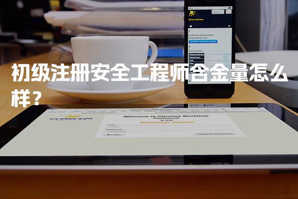 初级注册安全工程师含金量怎么样？未来发展趋势与就业前景分析