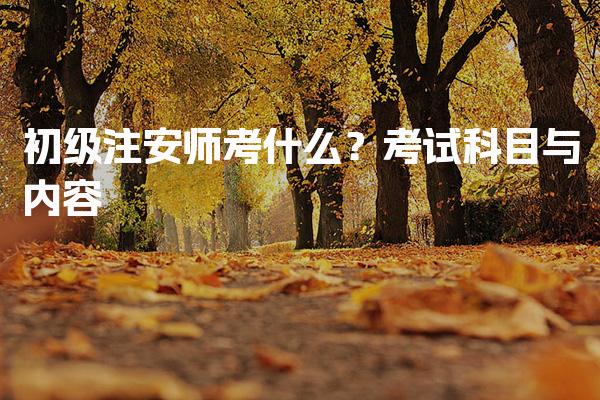 初级注安师考什么？全面解析考试科目与内容
