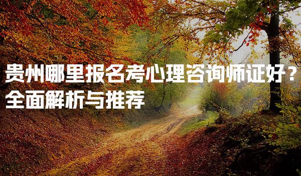 贵州哪里报名考心理咨询师证好？全面解析与推荐